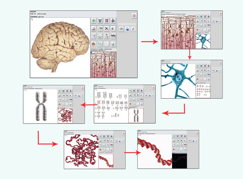 Precisión Tecnológica al Servicio de tu Salud