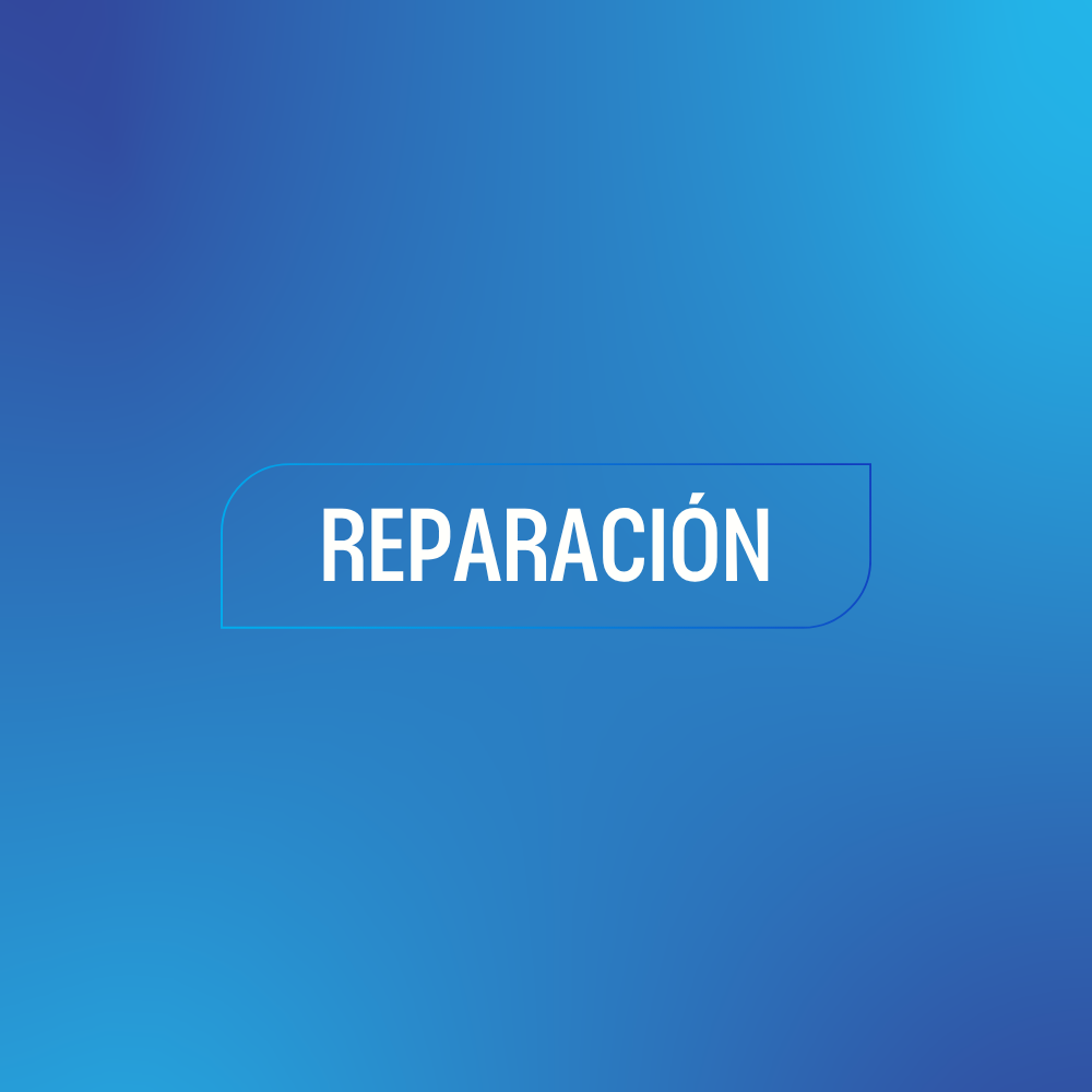 Servicio de Reparación