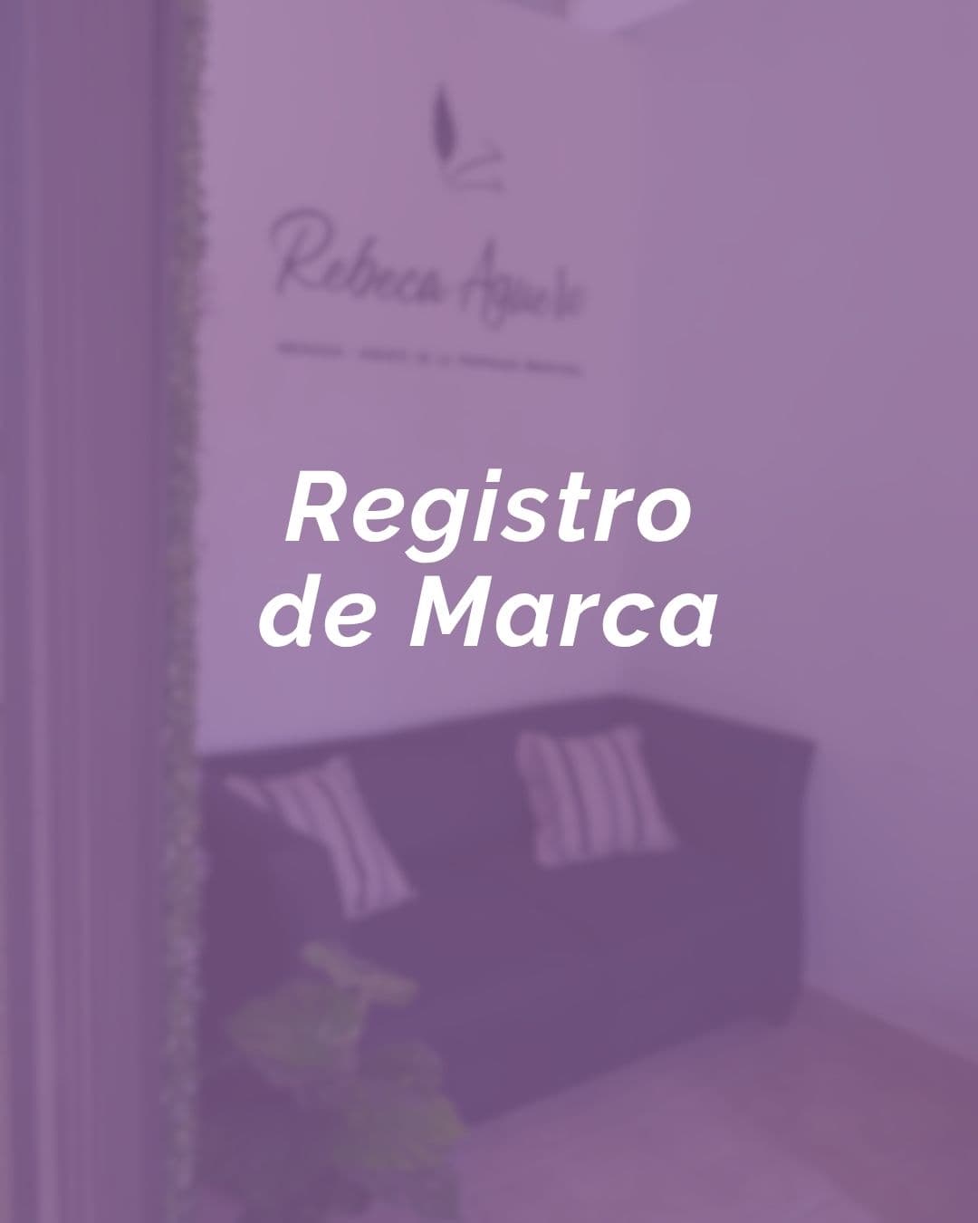 REGISTRO DE MARCAS