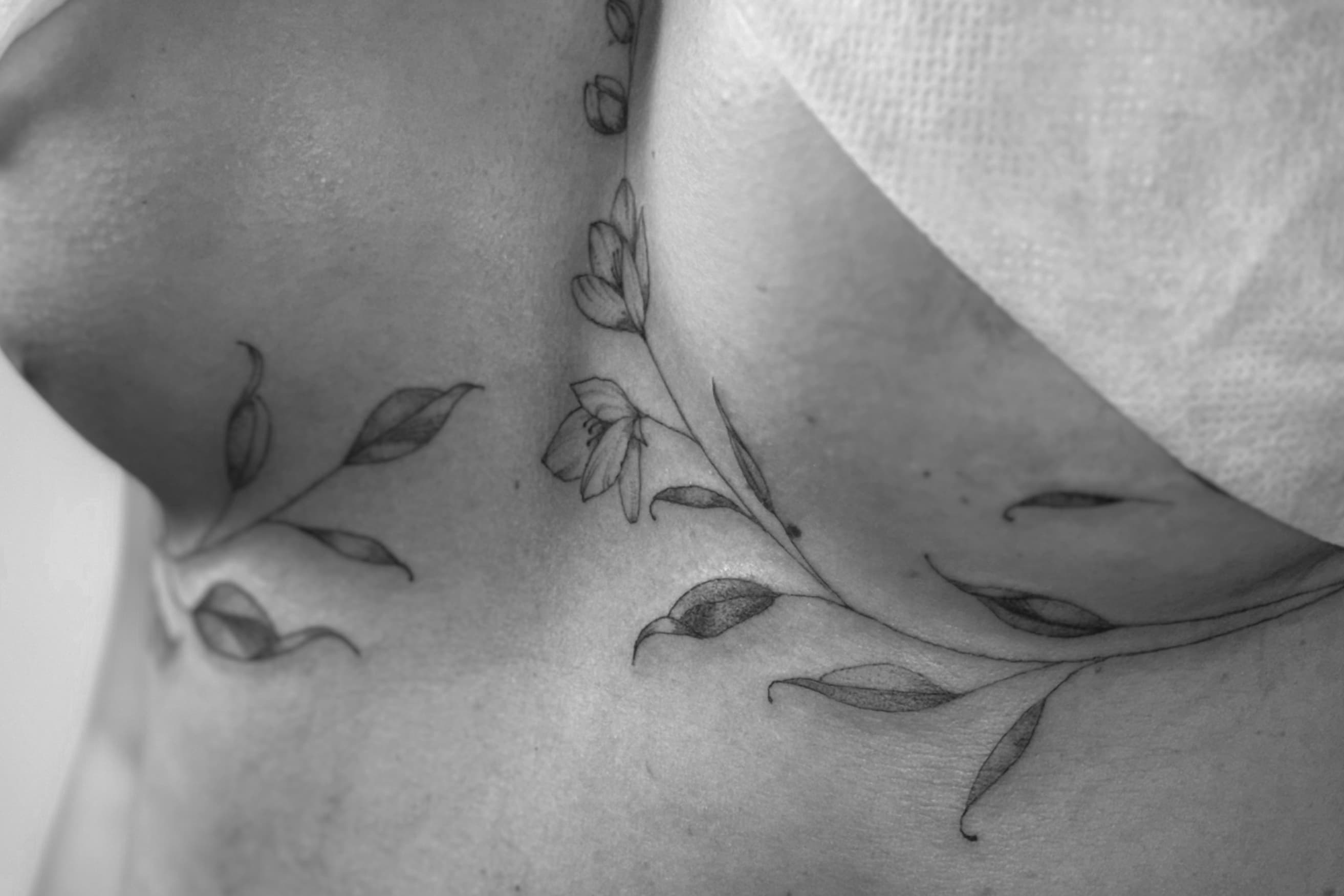 LULA TATUA