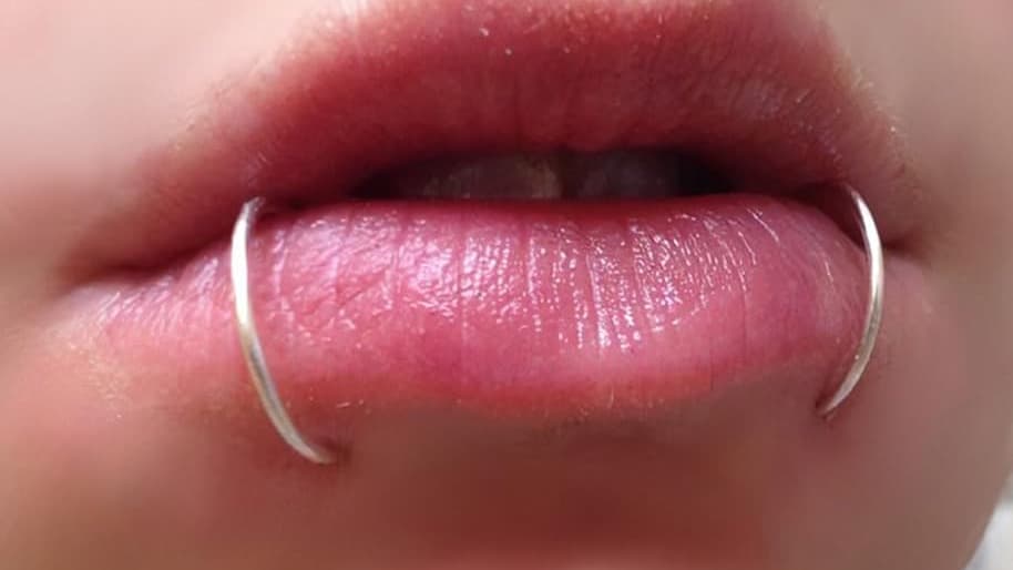 Perfo Snake Bites