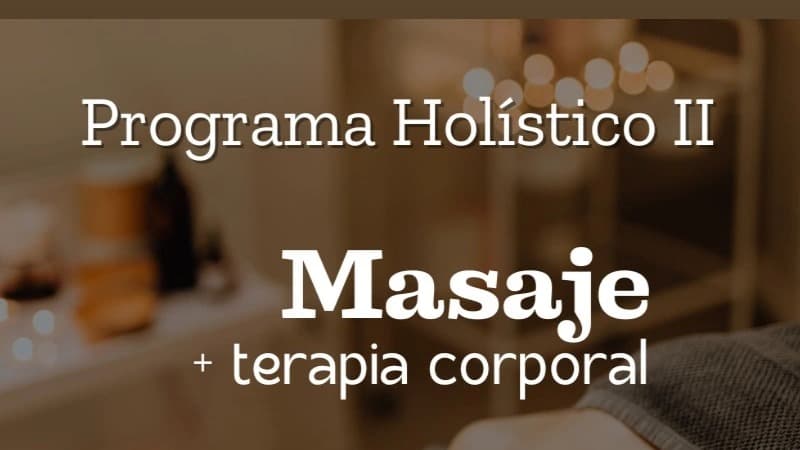 Programa Holístico II
