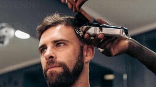 Corte