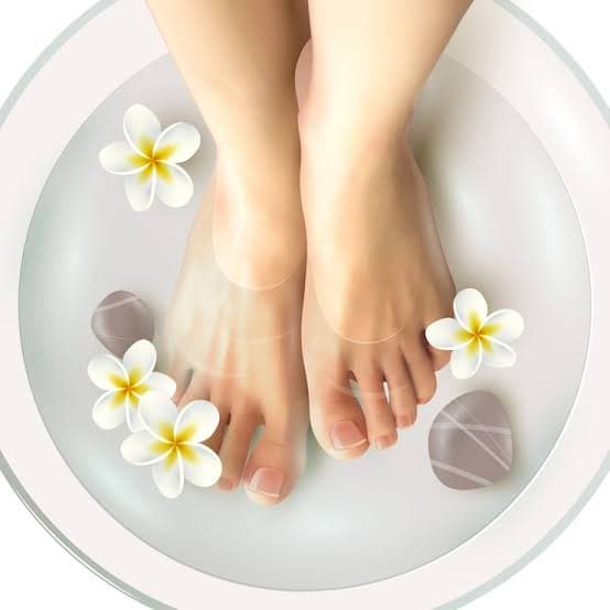 Pies - Relax PREMIUM