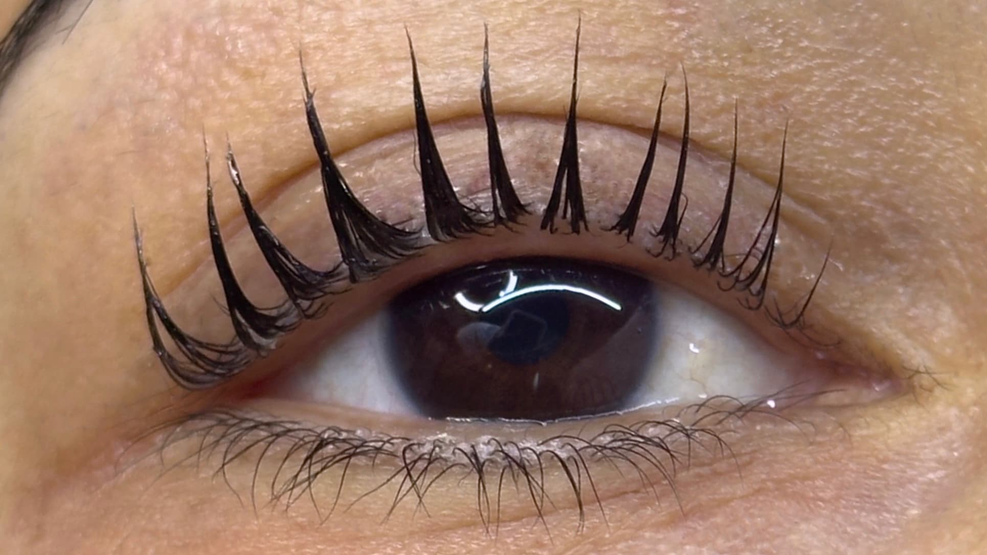 Lash Lifting